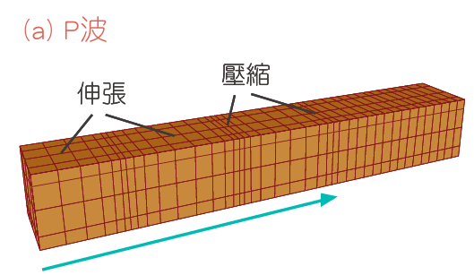 P波示意圖